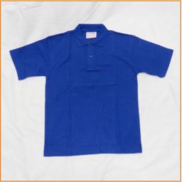 blue polo shirt.jpg