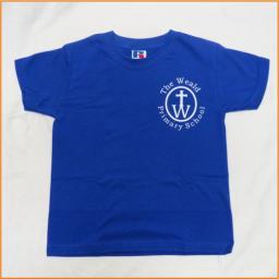 blue t shirt.jpg