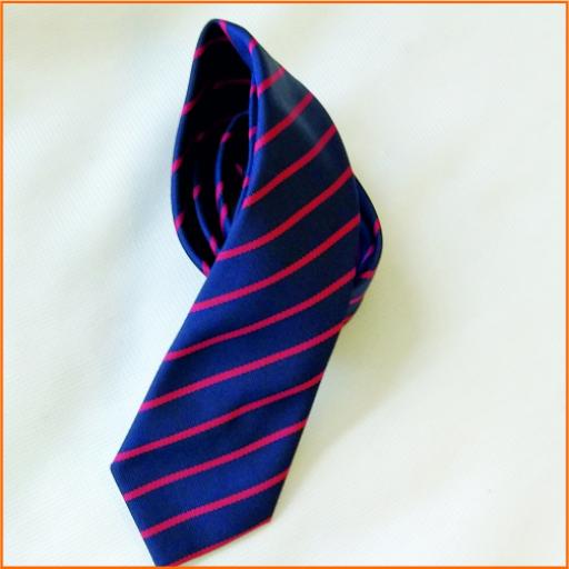 St Paul's School Tie