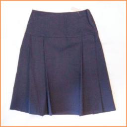 school skirt.png