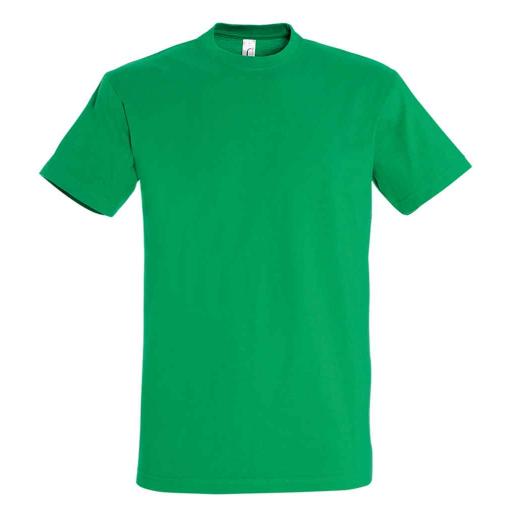 Compulsory: House T shirt, Windsor